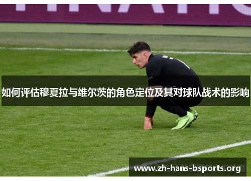 如何评估穆夏拉与维尔茨的角色定位及其对球队战术的影响